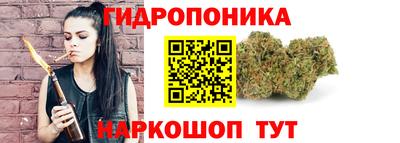 винт Сланцы